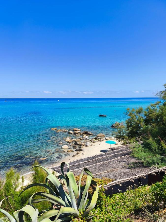 Dimora l 'Ulivo - B&B Parghelia