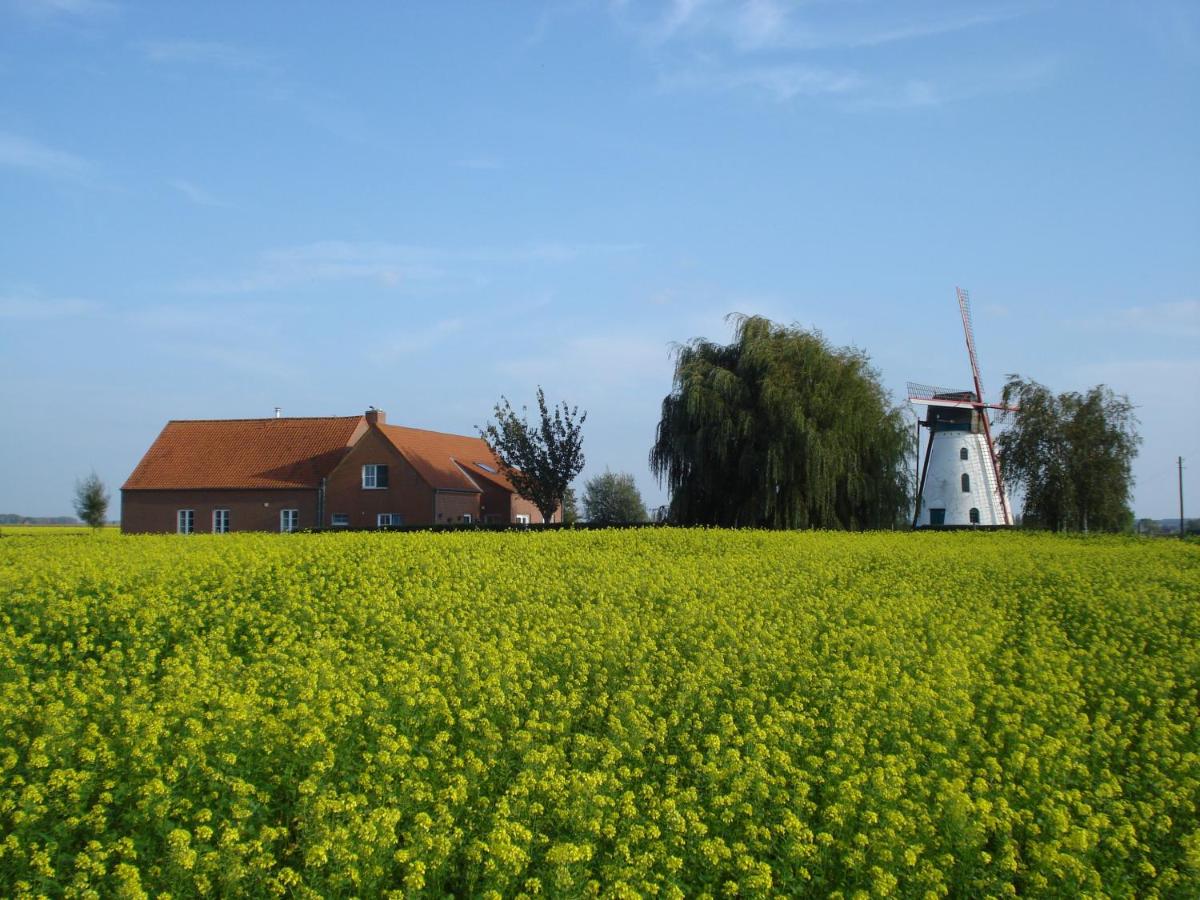 Brouckmolen - B&B Alveringem