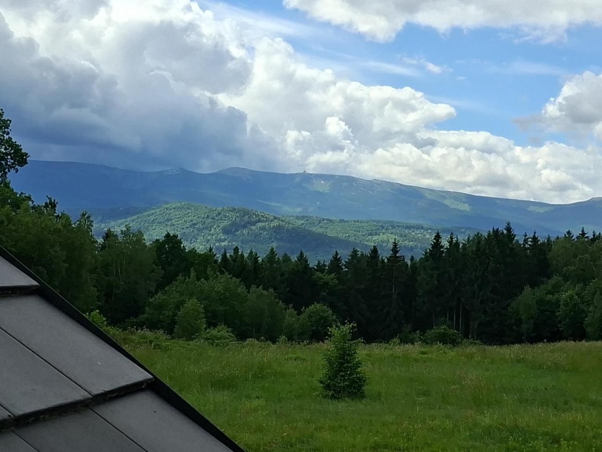 Apartamenty Wilcze Wzgórze - Chambres d'hôtes Wojcieszyce
