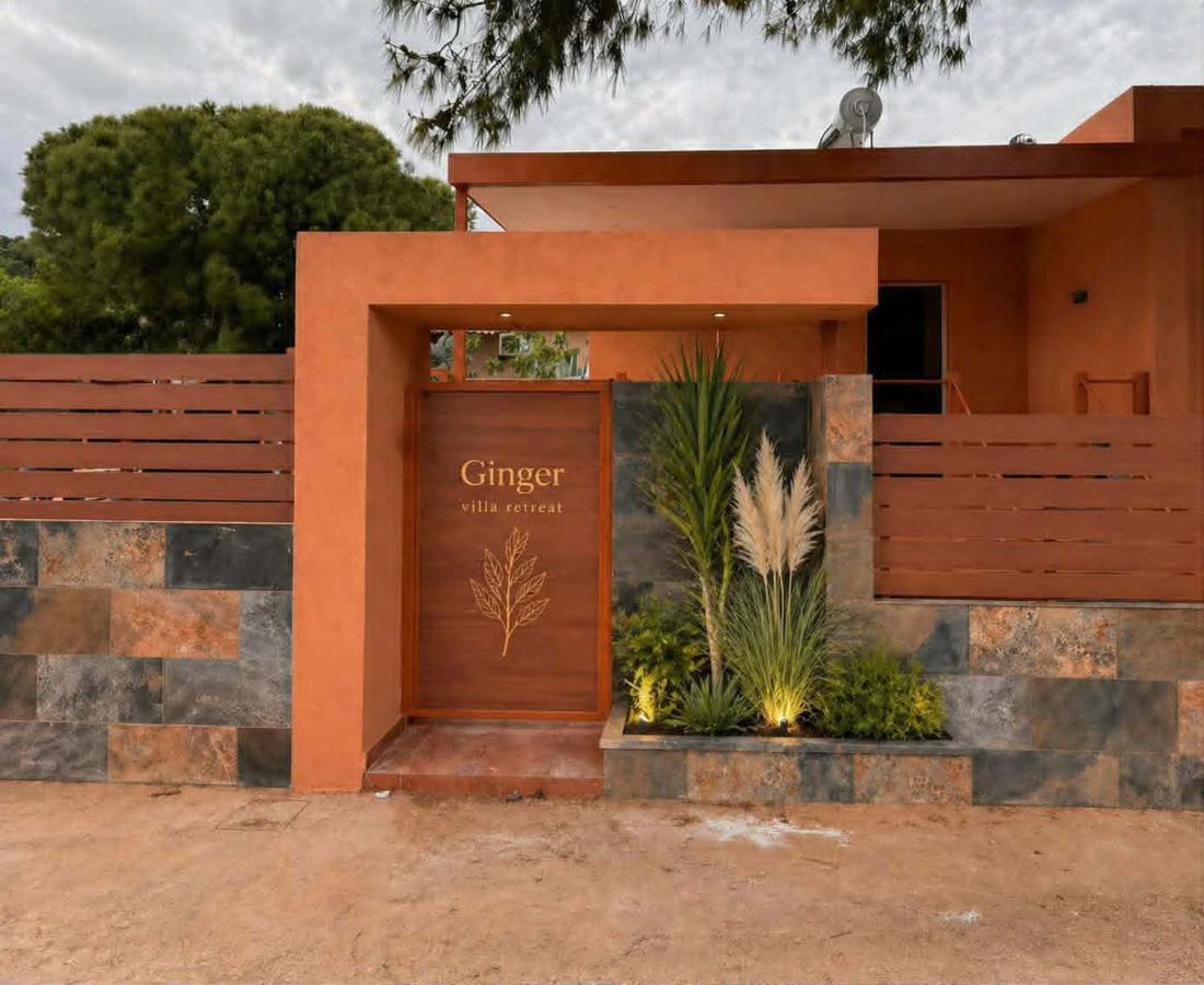 Ginger Villa Retreat - B&B Artémida