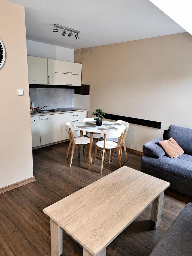 Fajny Apartament Karpacz - B&B Karpacz
