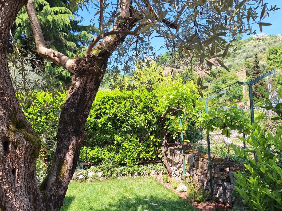 Il Giardinetto - B&B Riva di Solto