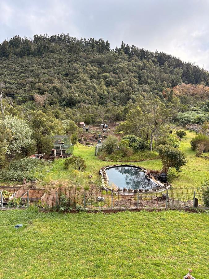 Éco-Domaine du Volcan, Gîte Hydrangea 974 - 8 personnes - B&B La Plaine des Cafres