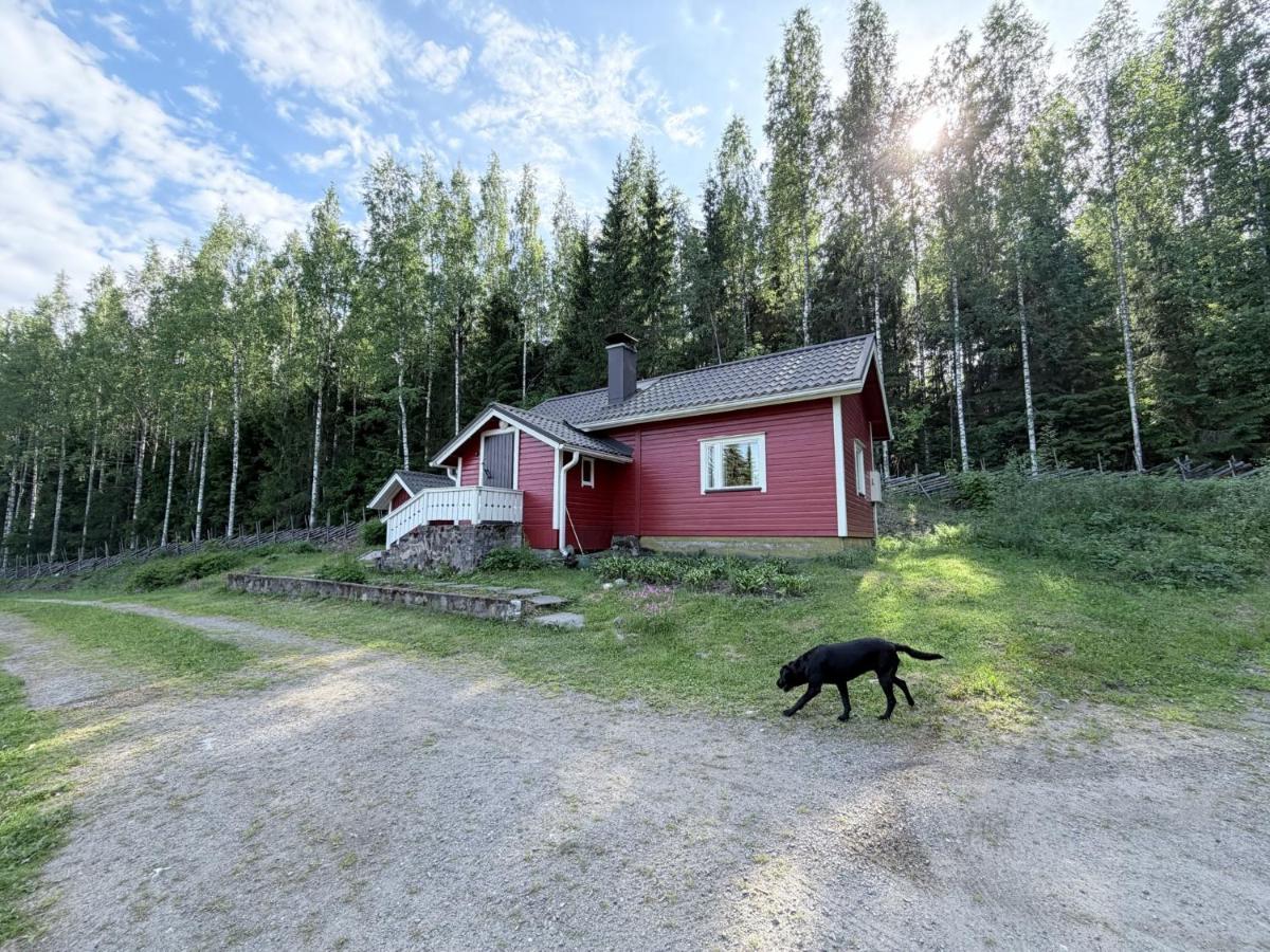 Metsäpirtti - B&B Koli