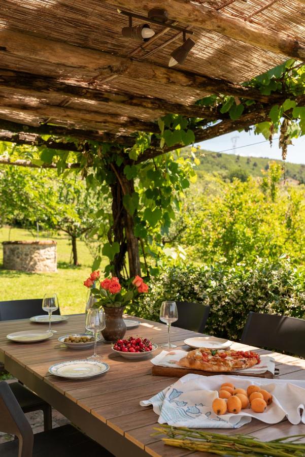 Casale San Pietro - Hills of Lucca - Bed and Breakfast Piaggiori