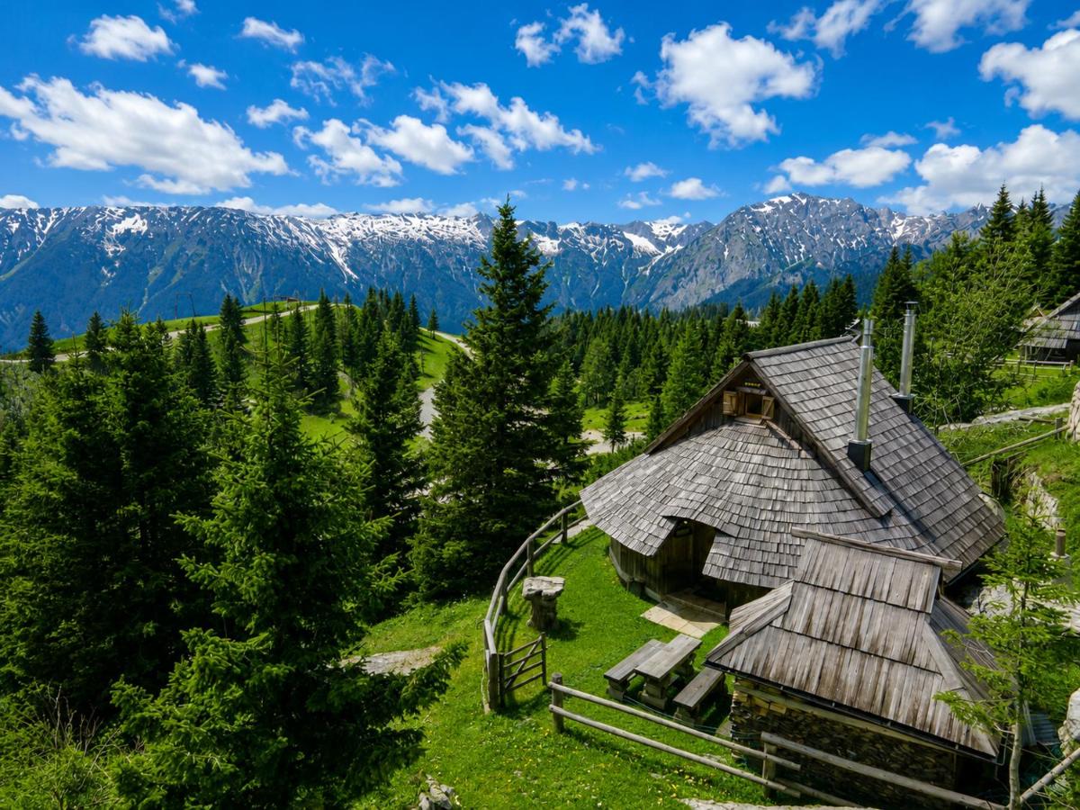 Alpine Chalet Velika Planina - Irenca - I Feel Alps - B&B Stahovica