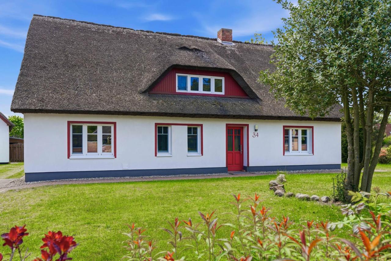 Ferienhaus Hanna - B&B Wieck