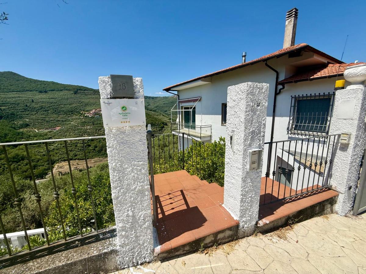 Ulivo Liguria With pool - B&B Gazzelli