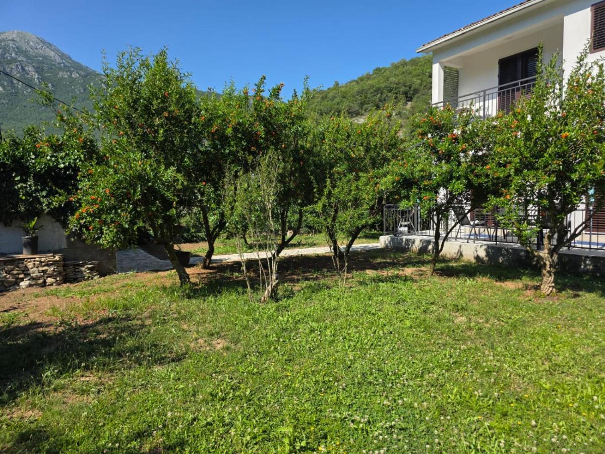 Green 9 - B&B Zelenika