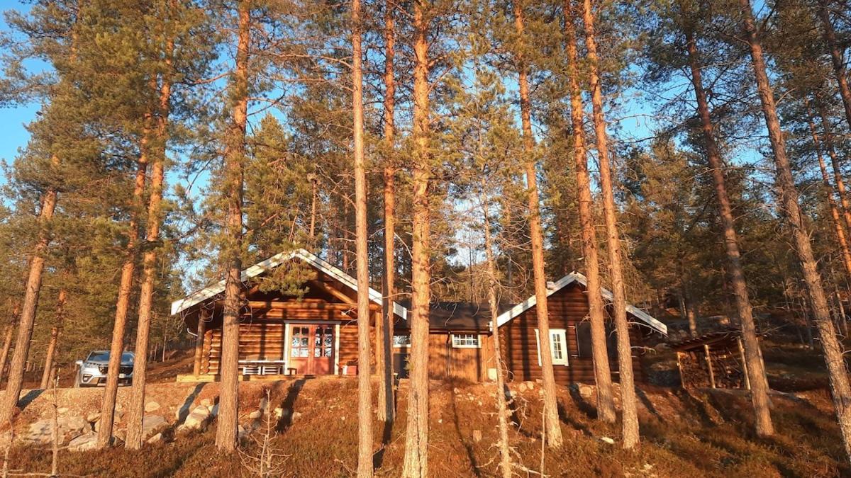 Rust, ruimte en frisse berglucht - Bed and Breakfast Rindal