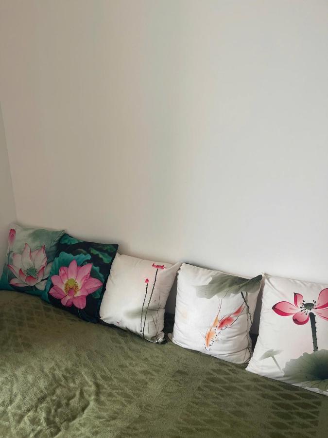Single Bed in Mixed Dormitory Room