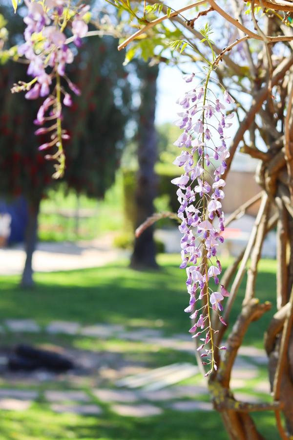 Quinta da Vala - Veranda Suite 5 - Bed and Breakfast Porches