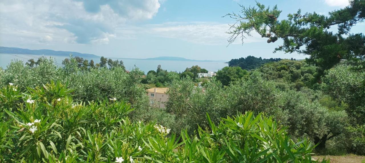 Olive Horizon Villa - Bed and Breakfast Asmíni