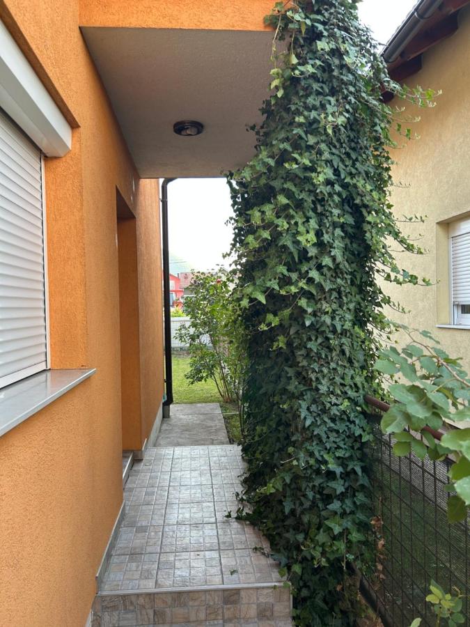 Sarajevo Villa Oasis - Chambres d'hôtes Doglodi