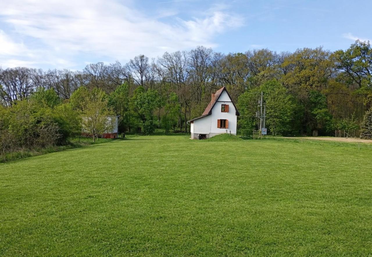 Chata Leonard - Bed and Breakfast Farná