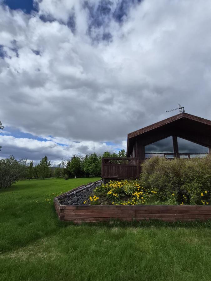 Golden Circle Lux Cabin/Cinema & Aurora Glasshouse - Chambres d'hôtes Selfoss