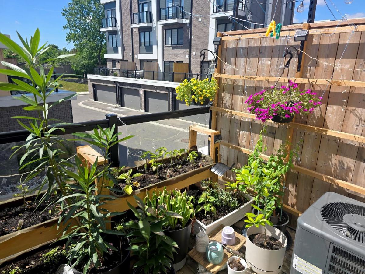 Downsview Park Retreat - Rogers Stadium Getaway 2 - B&B Toronto