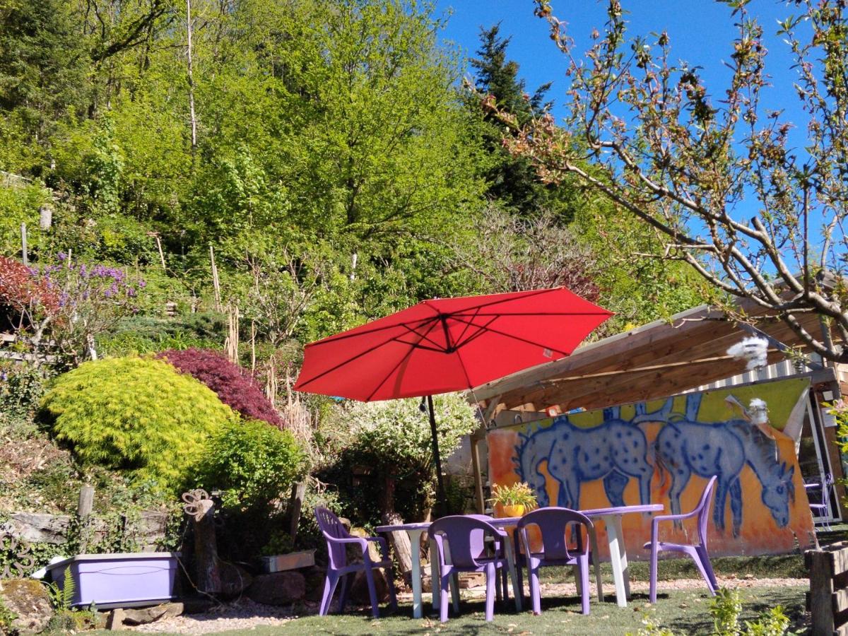 Tiny House cosy, jardin romantique forestier, route du vin, sentiers - B&B Lalaye