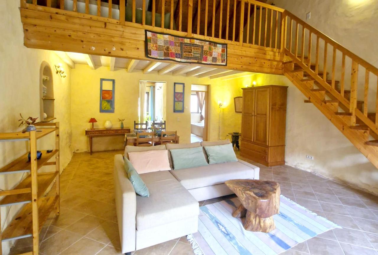Charming Apartment in the Heart of the Forest - B&B São Martinho das Amoreiras