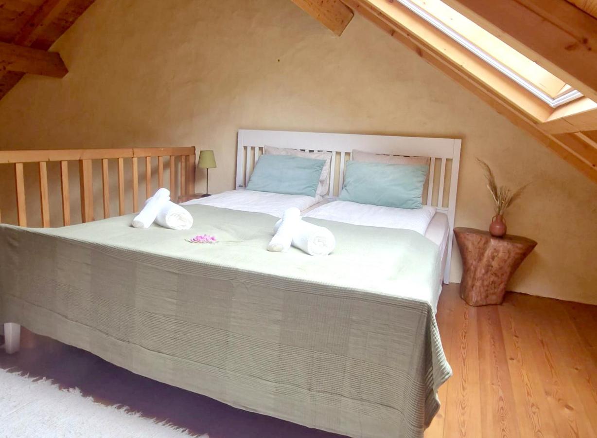 Charming Apartment in the Heart of the Forest - B&B São Martinho das Amoreiras