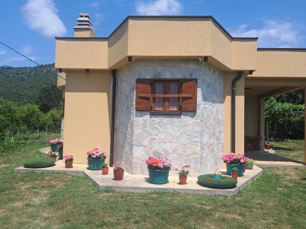 Apartman Dar Bošković Klasik - B&B Danilovgrad