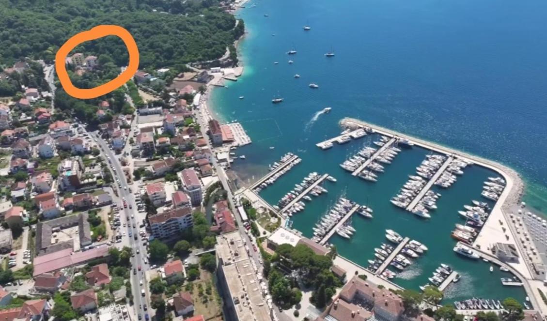 Shark Herceg Novi - B&B Meljine