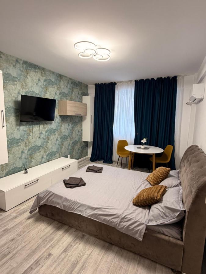 Happy Studio 1 - Bed and Breakfast Craiova