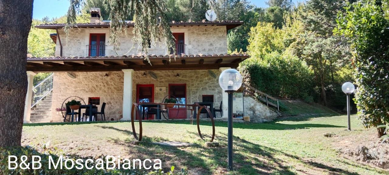 B&B Mosca Bianca - B&B Ascoli Piceno