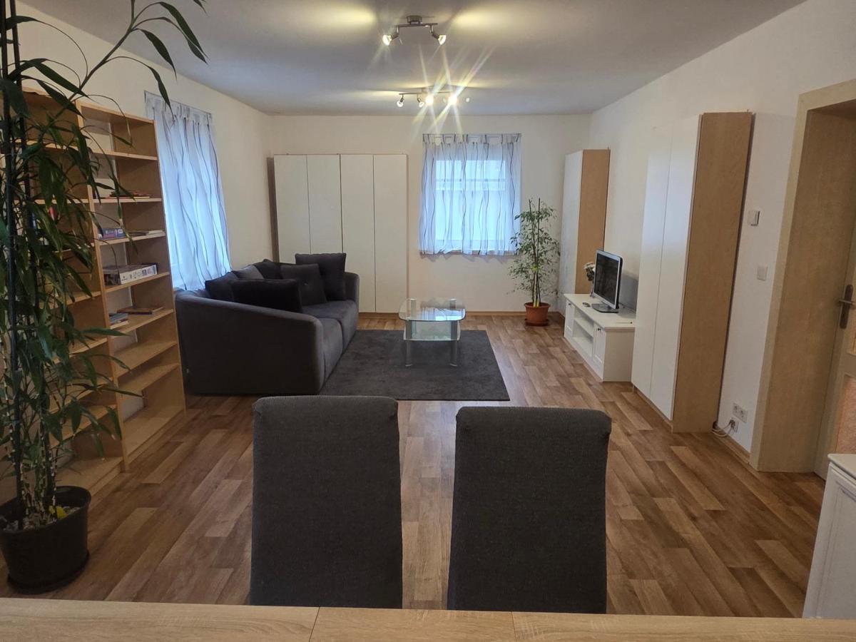 Spacious apartment about 90 sqm - Ferienwohnung Freital
