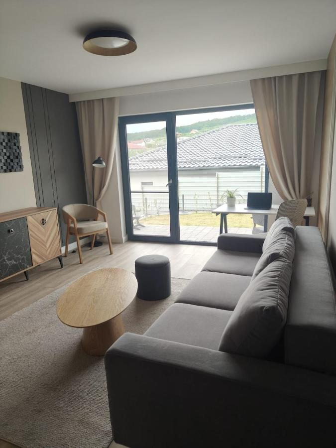 Origo Residence - Terrace & Private Parking - B&B Bistriţa