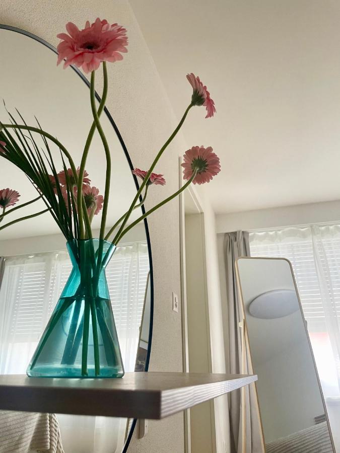 go sunny way - Wohnung - Bed and Breakfast Hellbühl