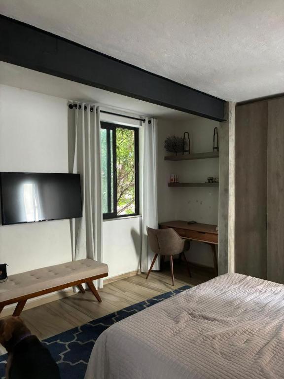 Bright Room with Terrace, Zona Rosa - Chambres d'hôtes Mexico