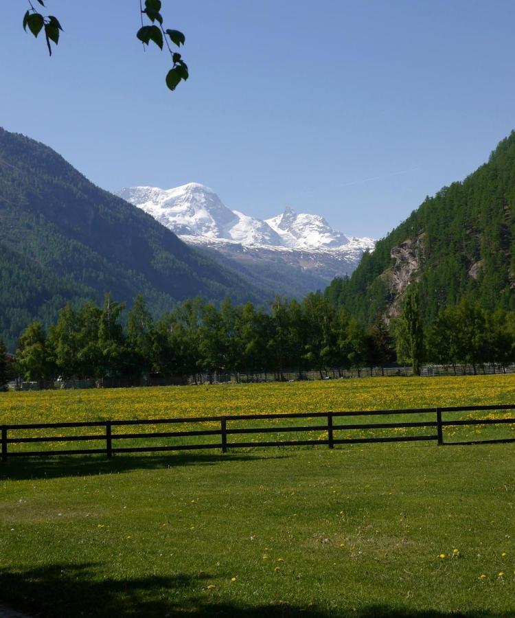 Kleine gemütliche Ferienwohnung in Täsch mit Alpenblick und Poolzugang - B&B Täsch