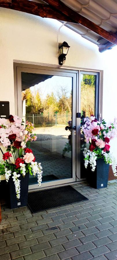 ViLLA IVET - B&B Danzica