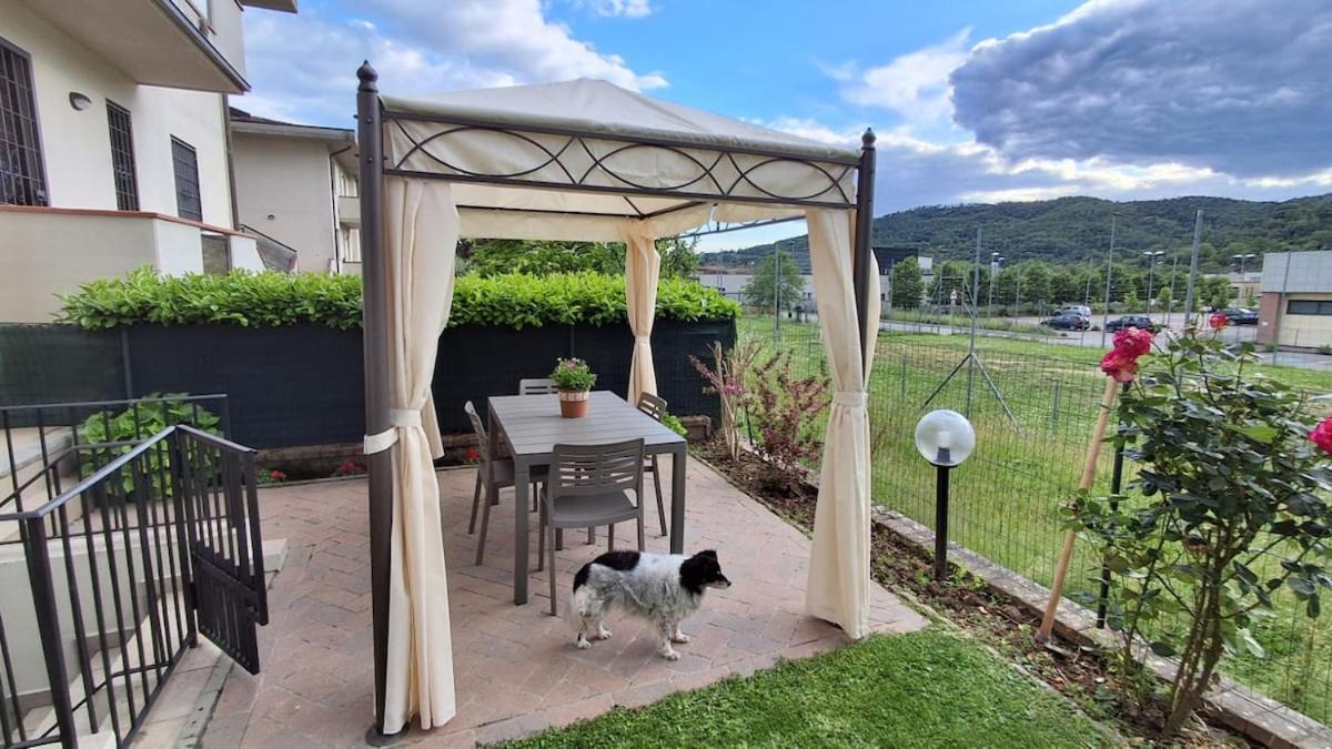 Casa Bibi - B&B Subbiano