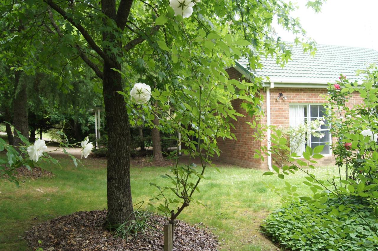 Chalets Lumineux - B&B Bright