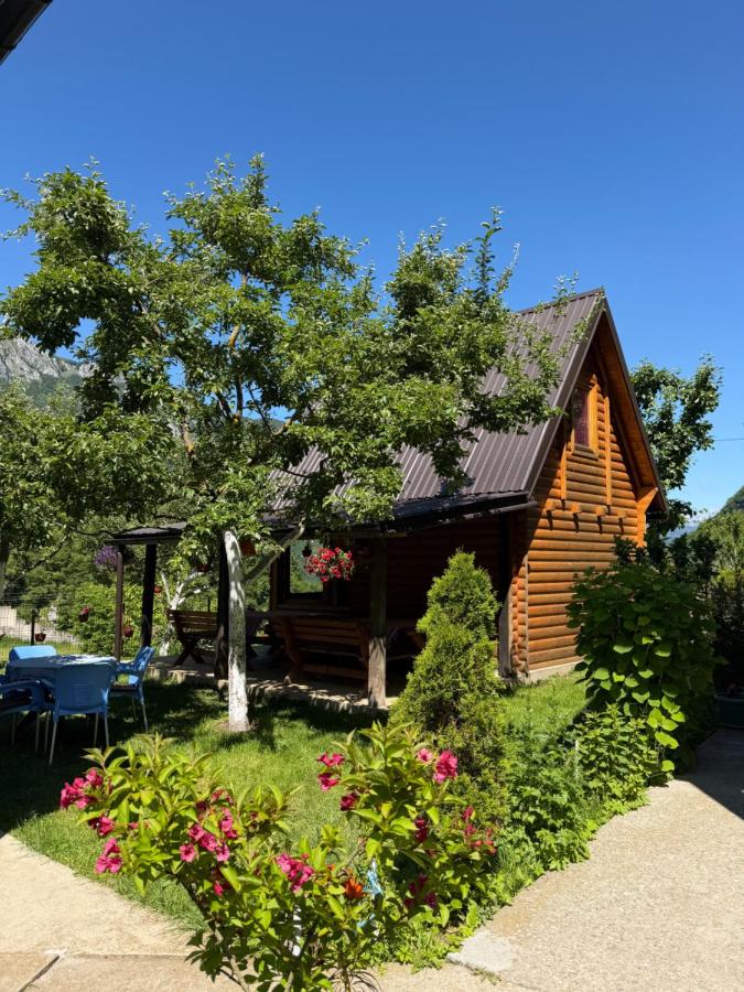Guest House Kollata - Ferienwohnung Vusanje