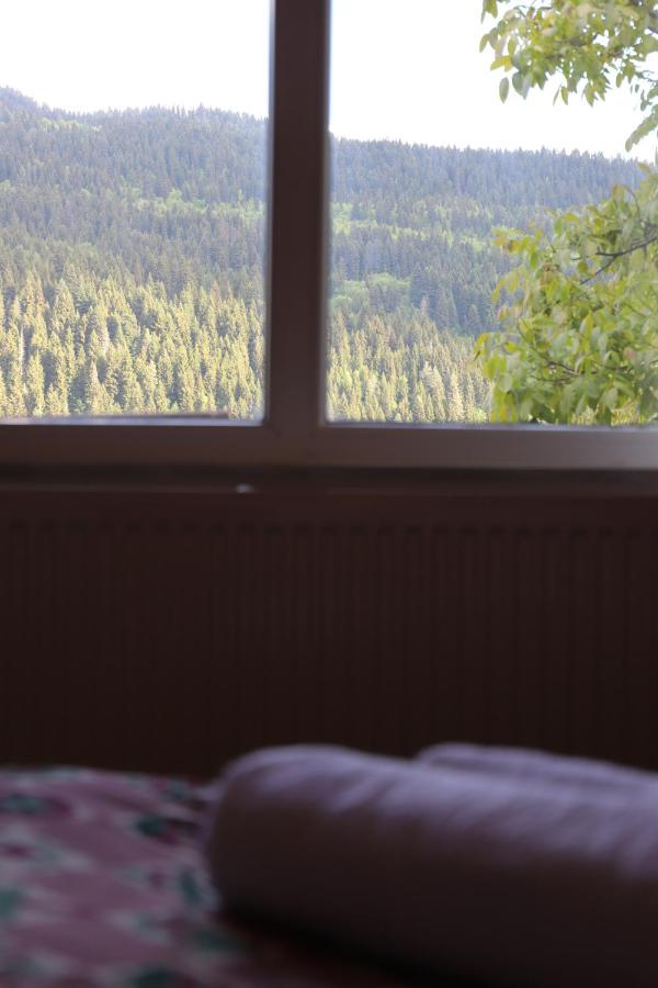 Tetnuldi View - Bed and Breakfast Mestia