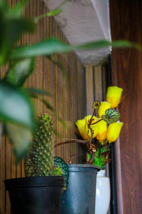 Solo Nest - Ella, Sri Lanka - Ferienwohnung Ella Town