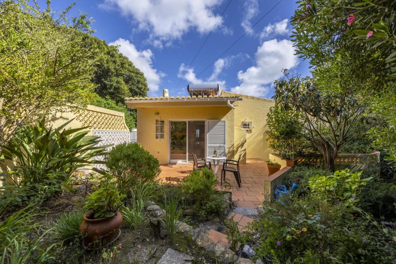 Belavista 55 - B&B Lagos