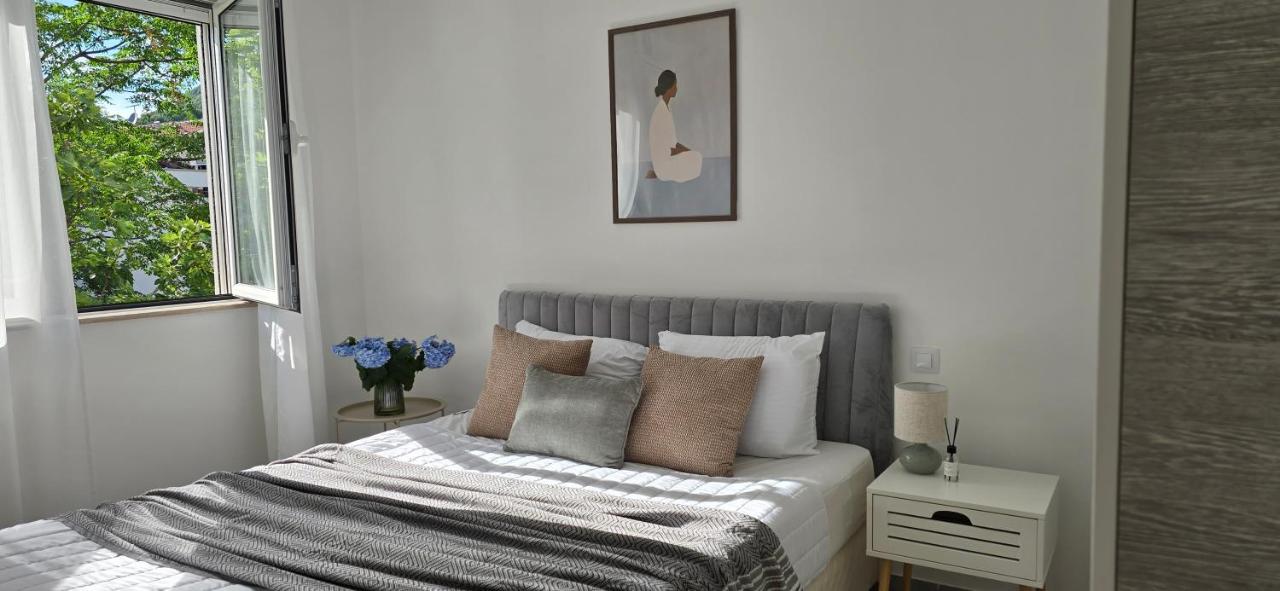 Kamelija LUX - B&B Ðenovići