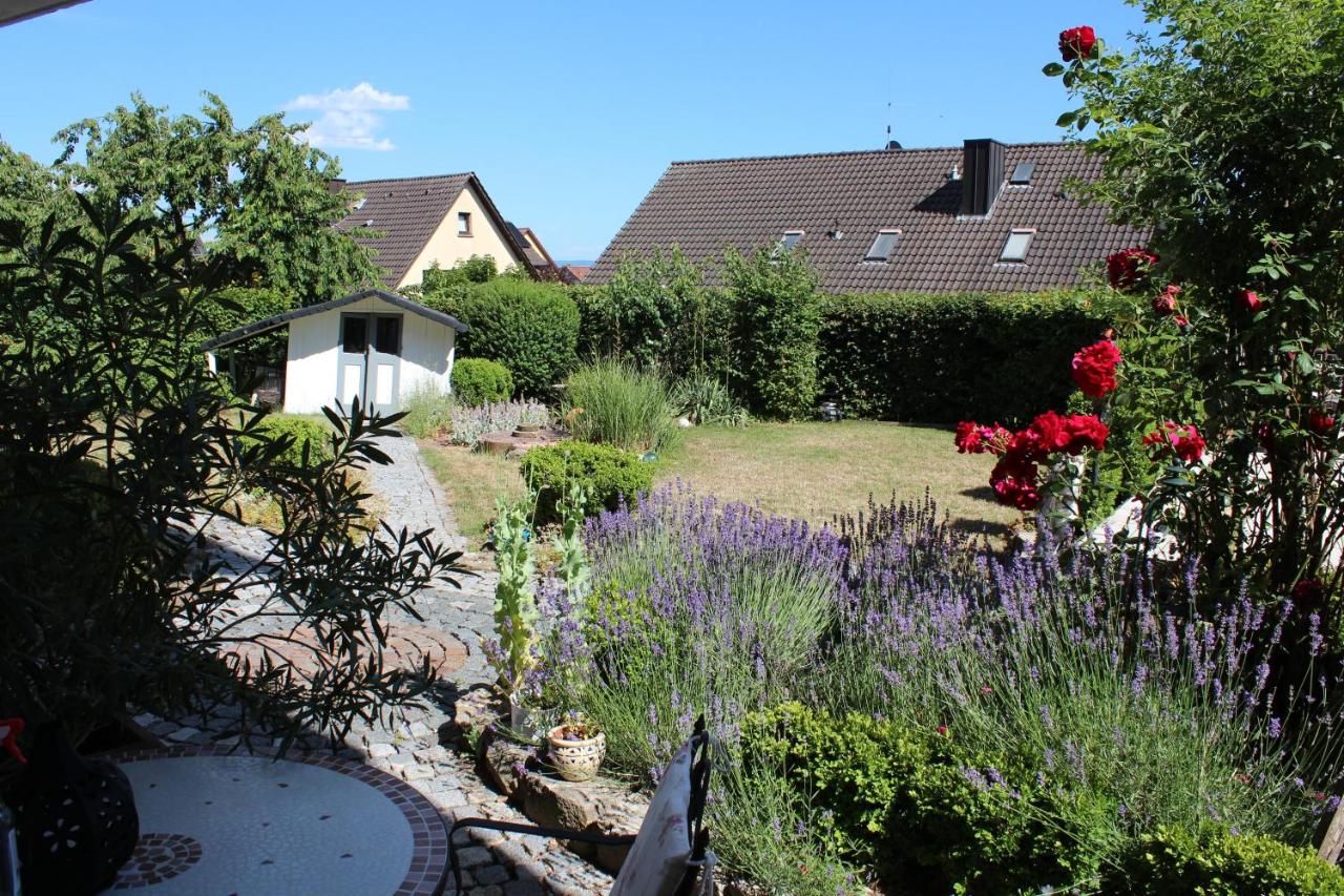 Weinbergsnest am Main - Bed and Breakfast Dettelbach