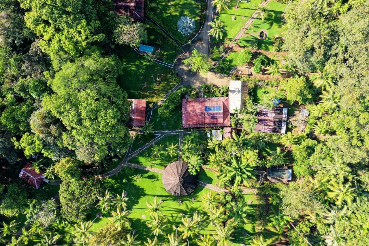 Sabalo Lodge Tours and Cabins - B&B Sierpe