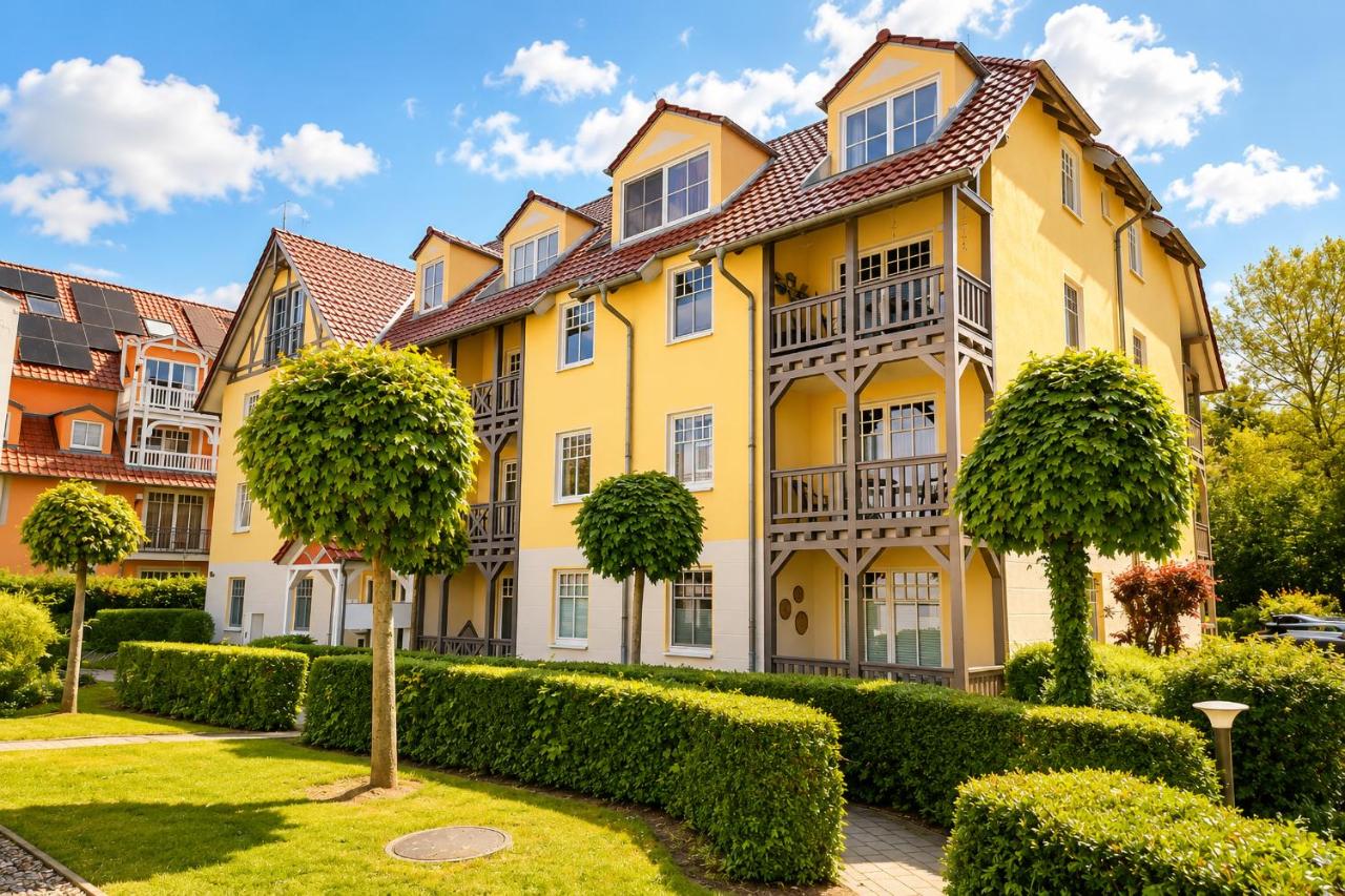 Apartmenthaus Ostseewelle Ferienwohnung 13 - Chambres d'hôtes Ostseebad Kühlungsborn