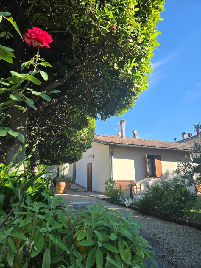 La Primavera B&B - B&B Volterra
