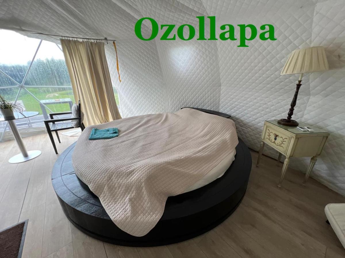 Ozols - B&B Vecpiebalga