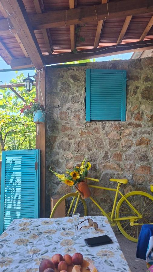 Ethno home 14 - Montenegro - Chambres d'hôtes Podgorica