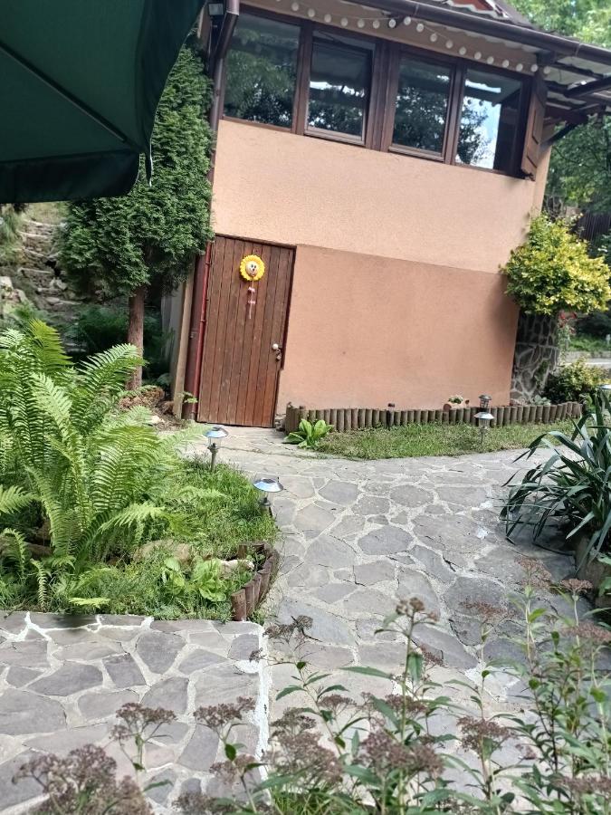 Green Hideaway - B&B Fântânele