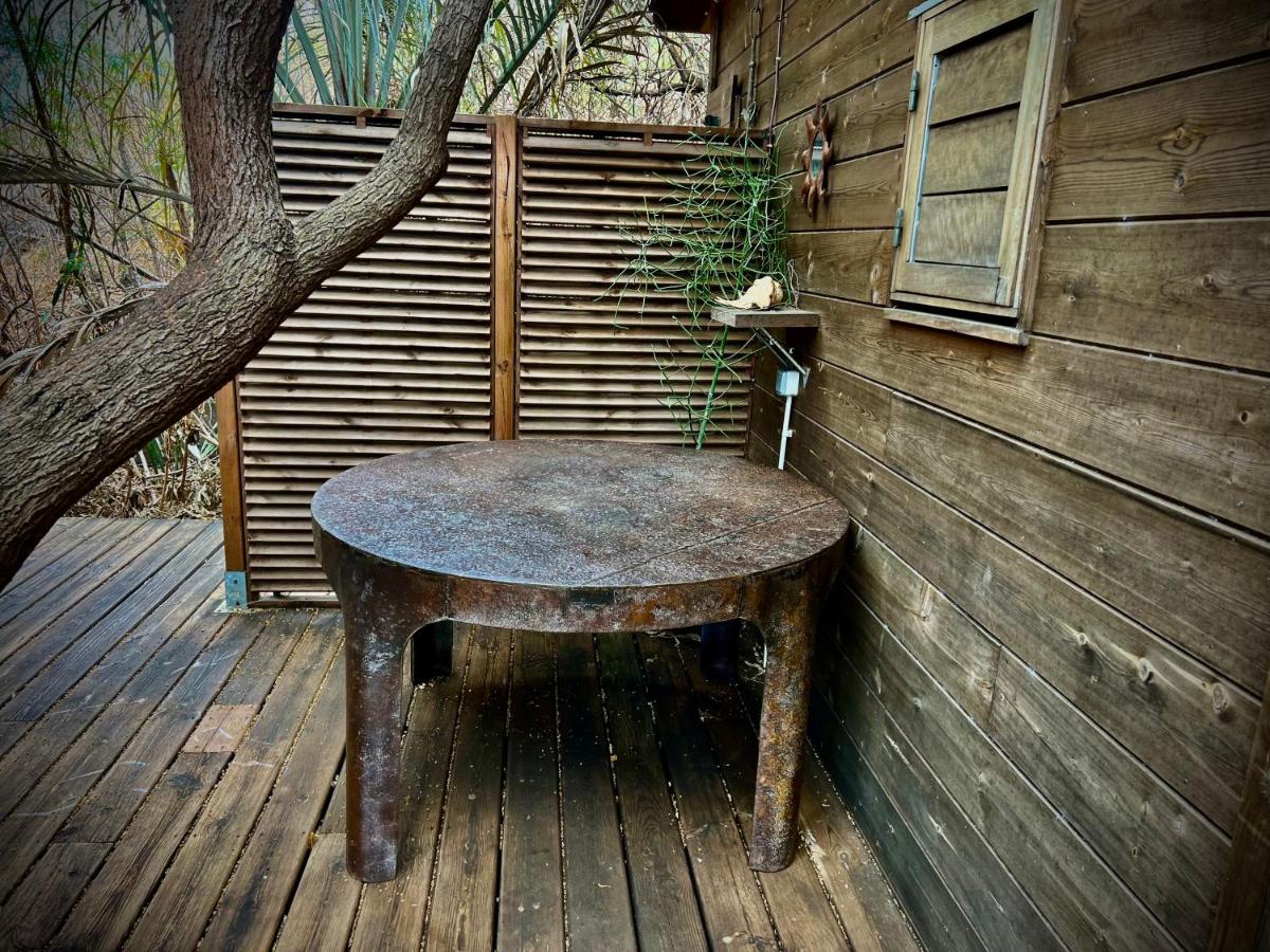 Calme et Nature - B&B Saint-Leu