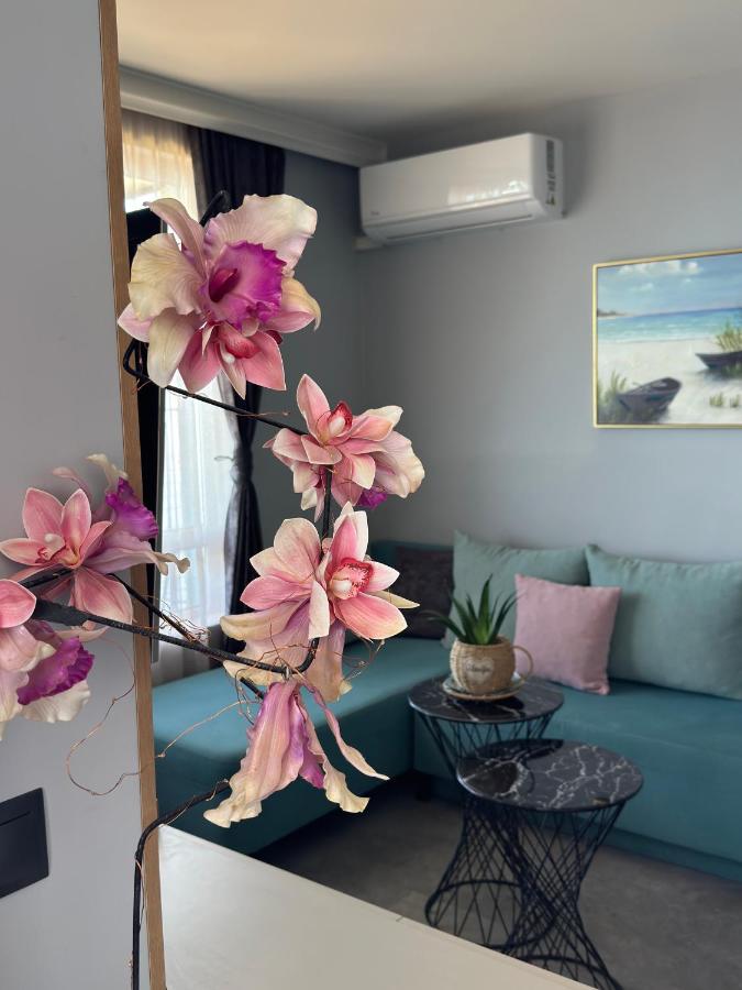 Апартаменти Генезис Ахтопол - B&B Ahtopol